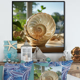 Seashell Treasures Vase - Seashell Wall Art Prints