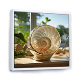 Seashell Treasures Vase - Seashell Wall Art Prints