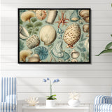 Vintage Seashell Treasures - Seashell Wall Art Prints