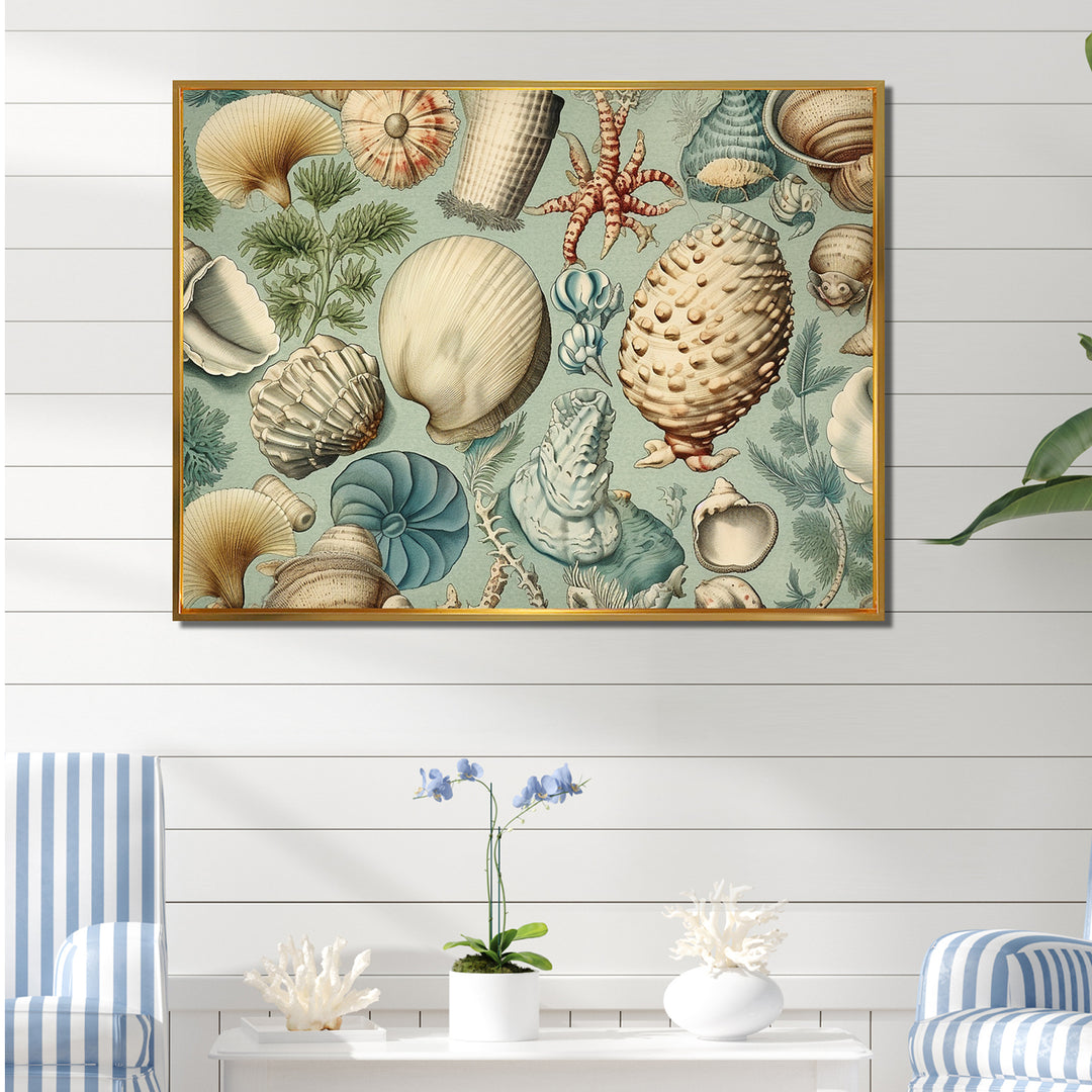 Vintage Seashell Treasures - Seashell Wall Art Prints