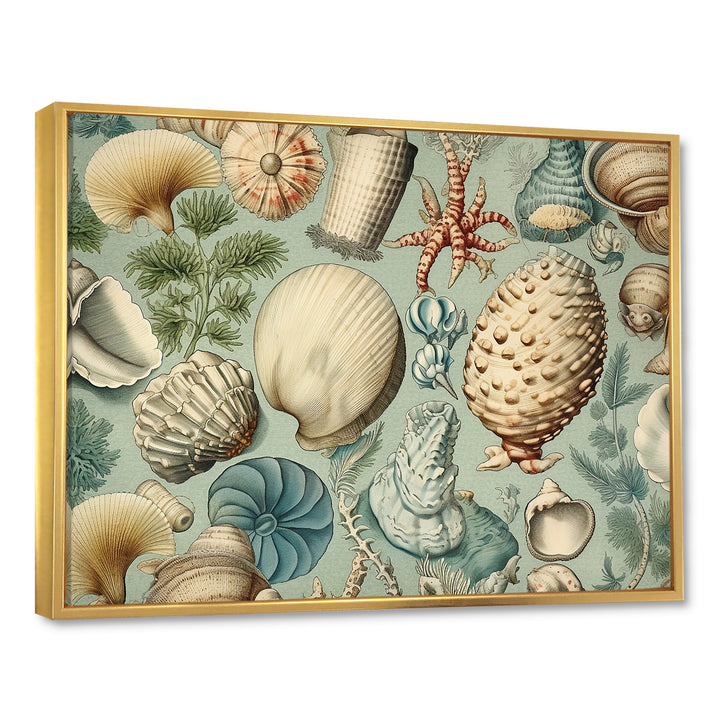 Vintage Seashell Treasures - Seashell Wall Art Prints