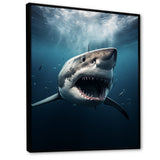 Blue Shark Apex Predator Photo - Blue Shark Wall Art