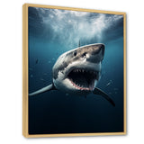 Blue Shark Apex Predator Photo - Blue Shark Wall Art