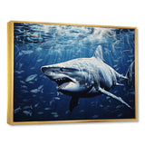 Bull Shark Depths Photography - Shark Framed Canvas Art