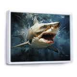 Sark Mako Momentum - Shark Living Room Wall Art