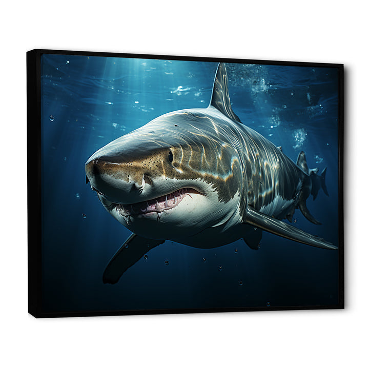 Oceans Blue Ghost Shark Photography - Shark Wall Decor