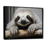 Mellow Sloth - Beige Sloth Wall Art