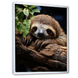 Rustic Repose Sloth - Sloth Canvas Wall Art
