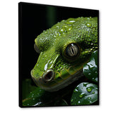 Coiled Emerald Snake - Snake Wall Decor