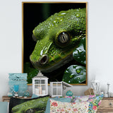 Coiled Emerald Snake - Snake Wall Decor