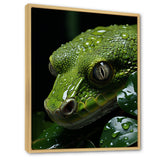 Coiled Emerald Snake - Snake Wall Decor