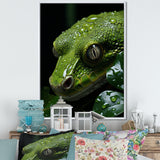 Coiled Emerald Snake - Snake Wall Decor