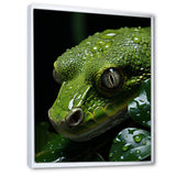 Coiled Emerald Snake - Snake Wall Decor