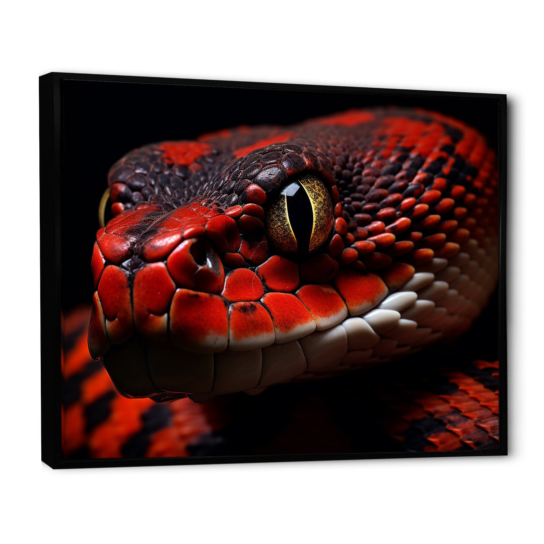 Serpents Stare - Snake Wall Art Prints