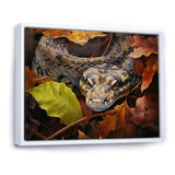 Foliage Slytherin Autumn Snakes - Brown Snake Wall Art
