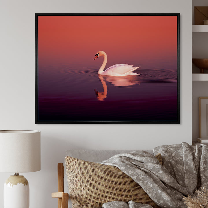 Coral Swan At Dusk - Swans Canvas Wall Art