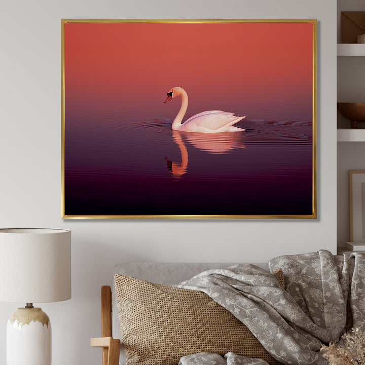 Coral Swan At Dusk - Swans Canvas Wall Art