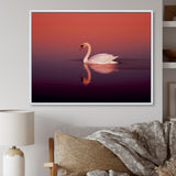 Coral Swan At Dusk - Swans Canvas Wall Art
