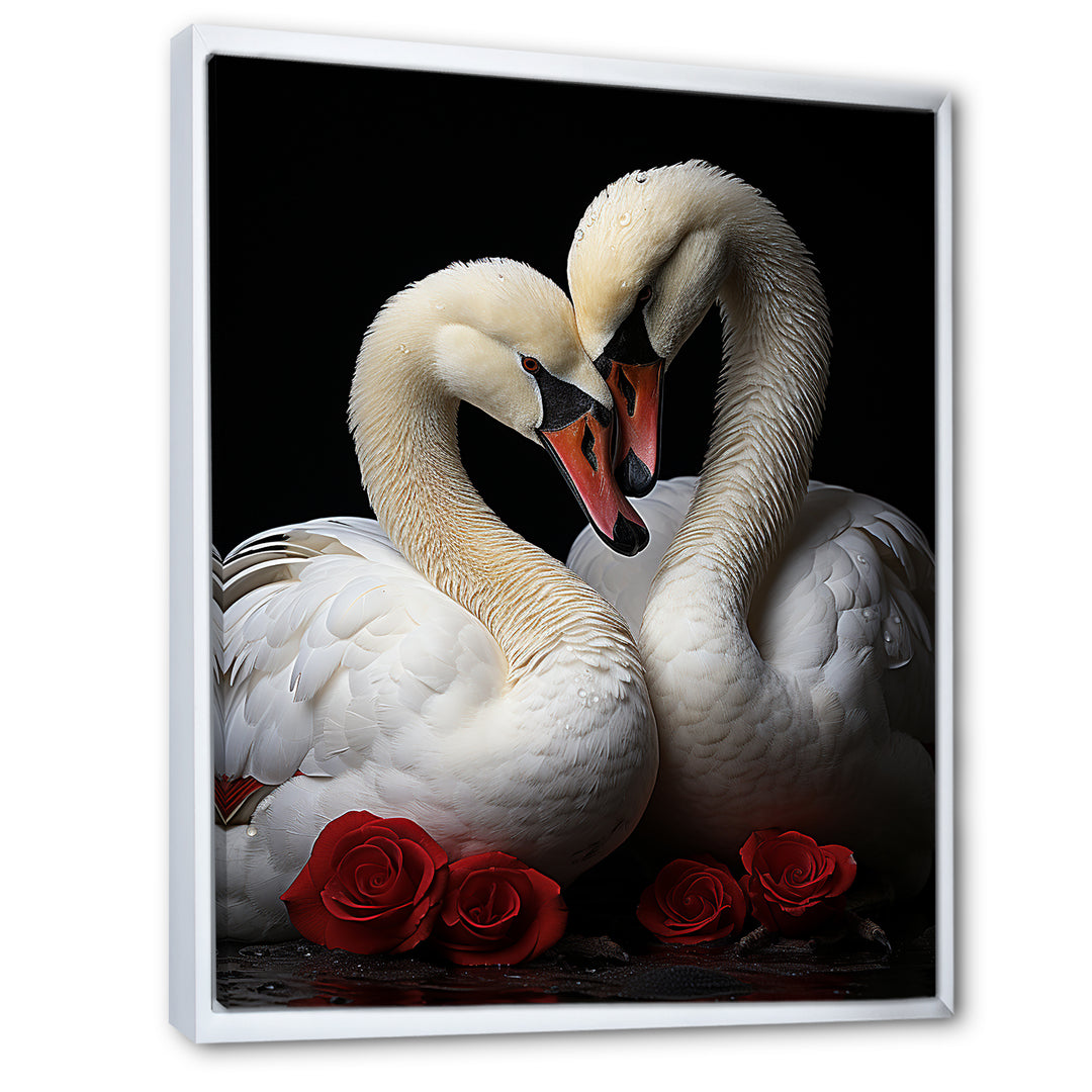 Swans Romantic Portrait - Swans Framed Canvas Art