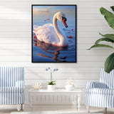 Swans Serenity Photo - Swans Wall Decor