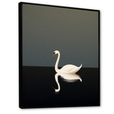 Swans Solitude In Black And White - Swans Wall Art Prints