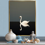 Swans Solitude In Black And White - Swans Wall Art Prints