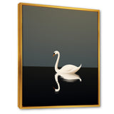 Swans Solitude In Black And White - Swans Wall Art Prints