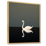 Swans Solitude In Black And White - Swans Wall Art Prints
