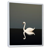 Swans Solitude In Black And White - Swans Wall Art Prints
