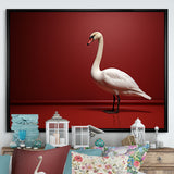 Swans Solitude In Red And White - Red Swans Wall Art