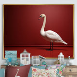 Swans Solitude In Red And White - Red Swans Wall Art