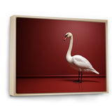 Swans Solitude In Red And White - Red Swans Wall Art