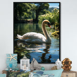 Swans Refuge In Tropical Lake - Swans Canvas Wall Art