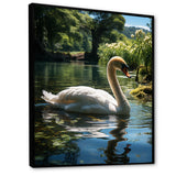 Swans Refuge In Tropical Lake - Swans Canvas Wall Art