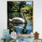 Swans Refuge In Tropical Lake - Swans Canvas Wall Art