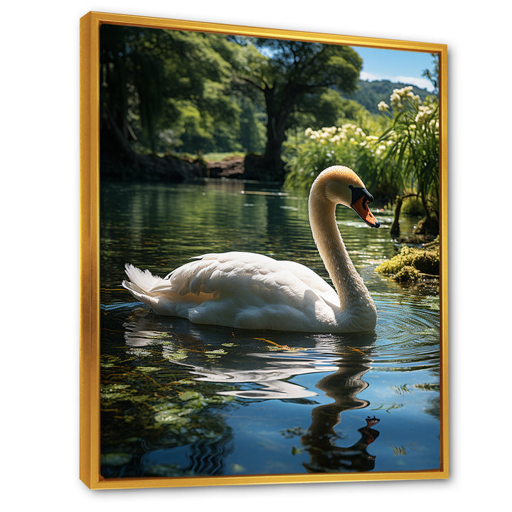 Swans Refuge In Tropical Lake - Swans Canvas Wall Art