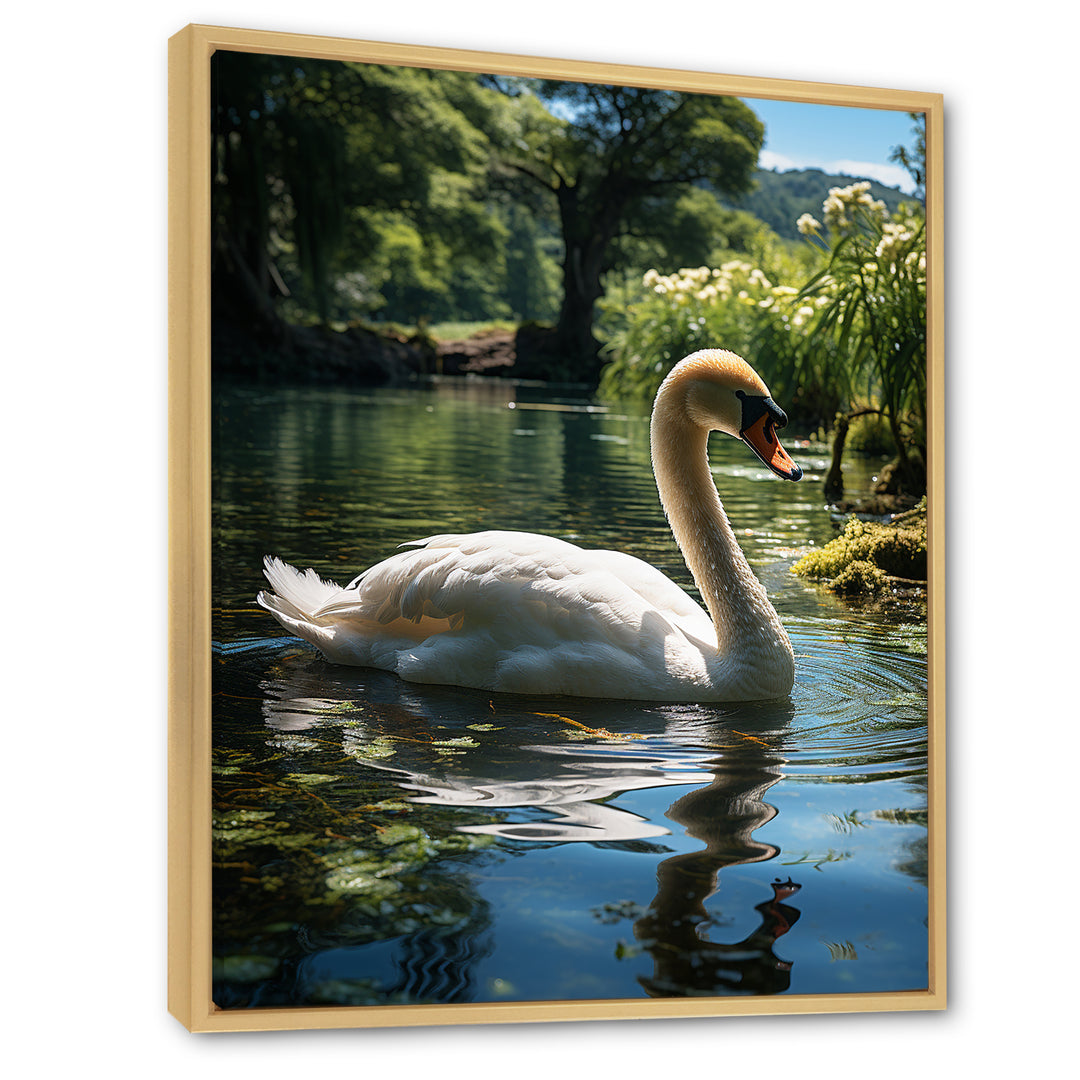 Swans Refuge In Tropical Lake - Swans Canvas Wall Art