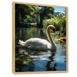 Swans Refuge In Tropical Lake - Swans Canvas Wall Art