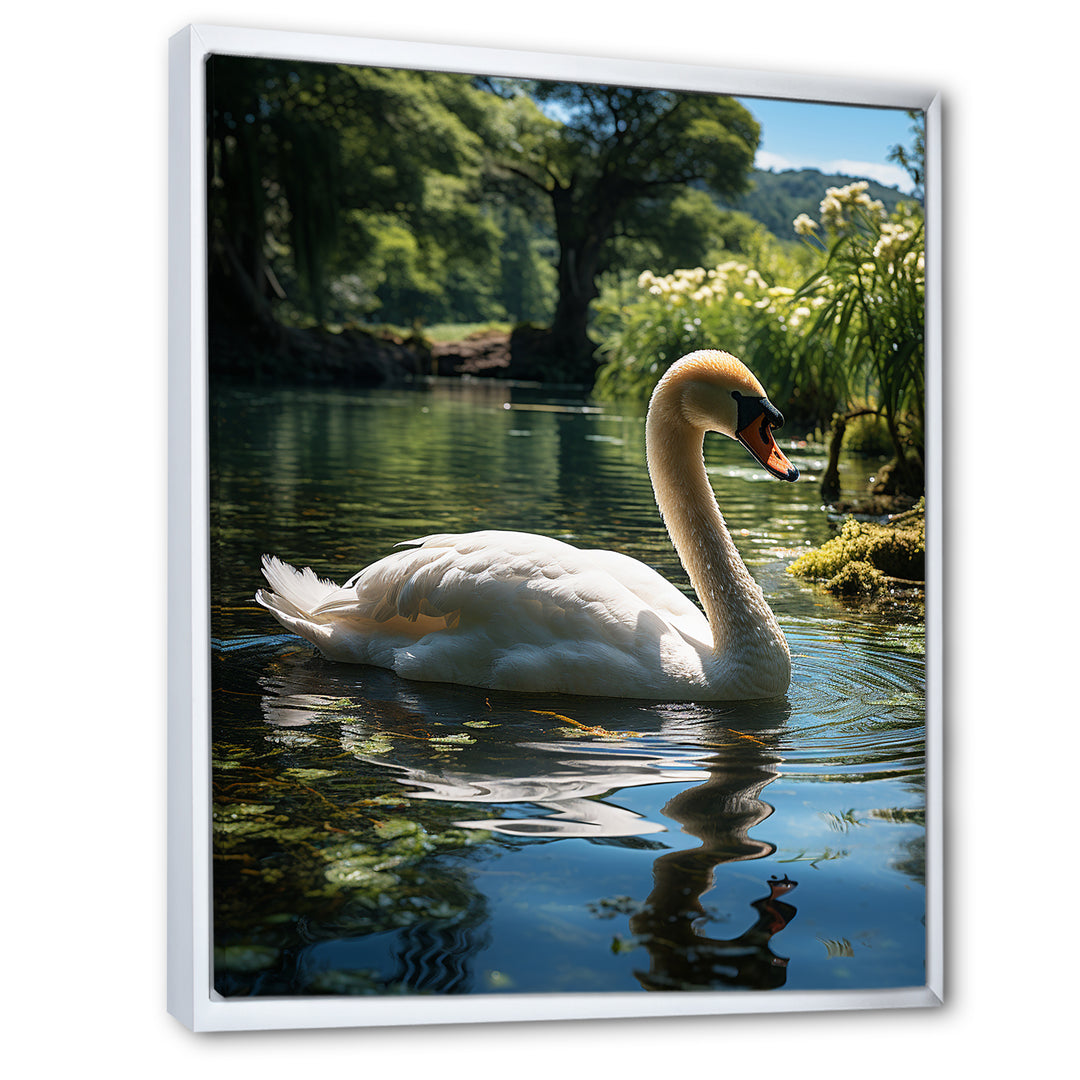 Swans Refuge In Tropical Lake - Swans Canvas Wall Art