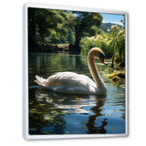 Swans Refuge In Tropical Lake - Swans Canvas Wall Art