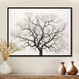 Minimalism Black And White Trees Oak - Floral Canvas Wall Art