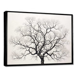 Minimalism Black And White Trees Oak - Floral Canvas Wall Art