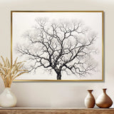 Minimalism Black And White Trees Oak - Floral Canvas Wall Art