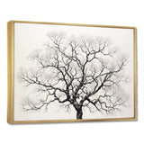 Minimalism Black And White Trees Oak - Floral Canvas Wall Art