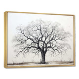 Minimalism Black And White Trees Oak II - Floral Canvas Wall Art