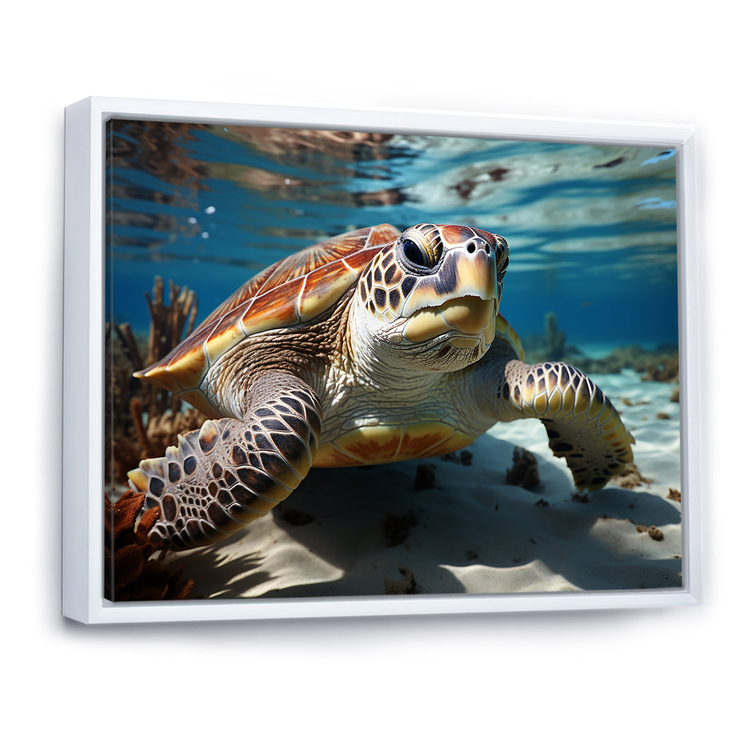 Minimalist Lagoon Turtle - Turtle Wall Art Prints