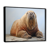 lazy Walrus habitat - Walrus Wall Decor