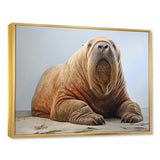 lazy Walrus habitat - Walrus Wall Decor