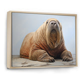 lazy Walrus habitat - Walrus Wall Decor
