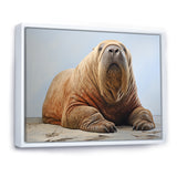 lazy Walrus habitat - Walrus Wall Decor